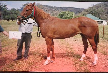 �޸���Ͻ� ����