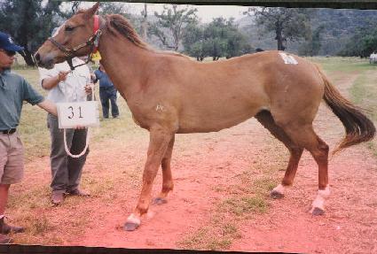 ����õ ����