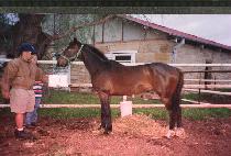 Ȱ��õ (HWALLYEOKCH��EON) ����