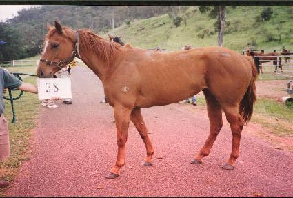 �������״��� ����