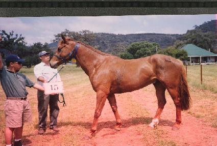 �Ѷ�� ����