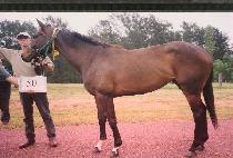 ���ҹ����� (OH SO BUSTER) ����