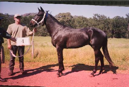 ���������� ����