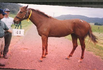 ��õ�⿩�� ����