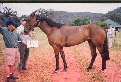 ������Ÿ��Ʋ ����