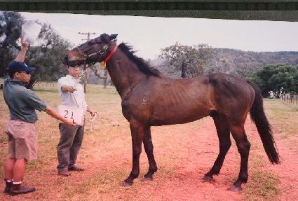 �����õ ����