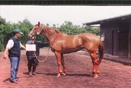 ����ī�� ����