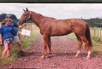 ���̵彺�� (SIDESTEP) ����