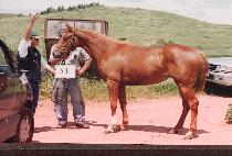 ������ (PAEKCHOKSAN) ����