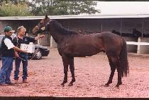 ���� (BOEING) ����