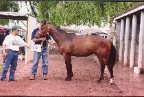 ������ (MICKJOSH) ����