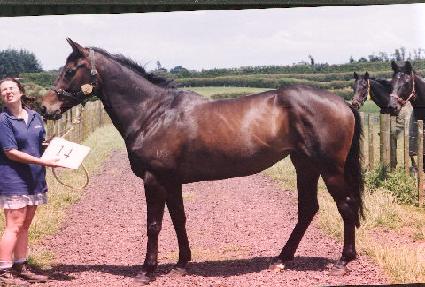 ũ�ν�Ƽ�� ����