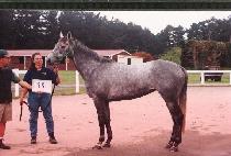 ũ����Ÿ���� (KRISTABELLA) ����