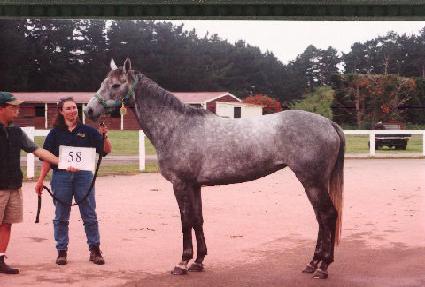 ũ����Ÿ���� ����