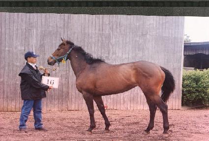 �Ͻ� ����