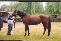 ���̺�Ŭ�� (IVY CLUB) ����