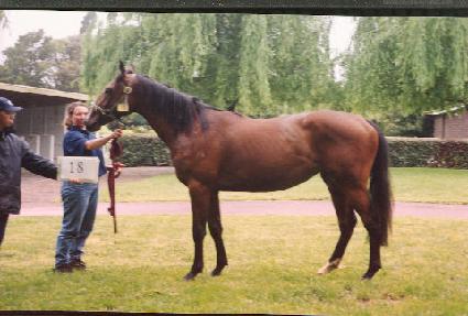 ���̺�Ŭ�� ����