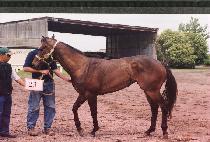 ���丮����̽� (VICTORY PROMISE) ����