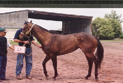 ���丮����̽� ����