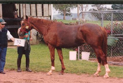 �𽺹� ����