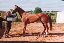 ���Ÿ� (ITALY) ����