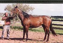 �۽�Ʈ�йи� (FIRST FAMILY) ����