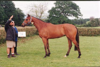 ����Ʈ ����