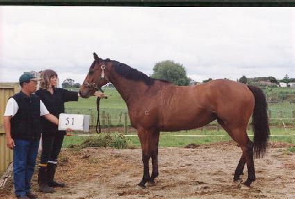 Ȳ��� ����