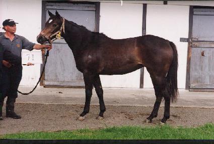 û��� ����