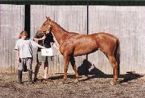 Ȳ�ݽô� (HWANGGEUM SHIDAE) ����