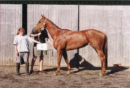 Ȳ�ݽô� ����