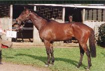 �ַ̼��� (MISOLOGY) ����