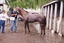 �¹��̺극�̼��� (GOOD VIBRATIONS) ����