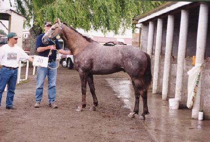 �¹��̺극�̼��� ����