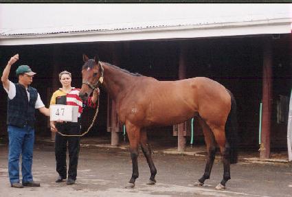 ����ٿ�� ����