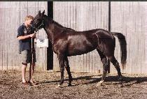 ���κ� (SEONINBONG) ����