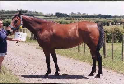 ���ܸ� ����