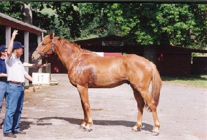 ��Ŀ�� ����