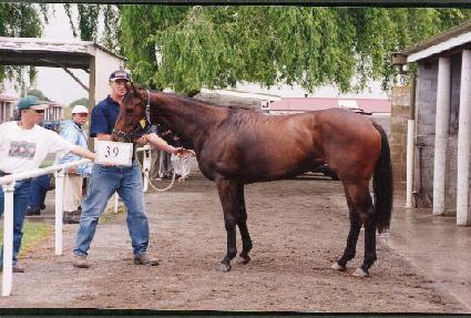 �ٸ����� ����