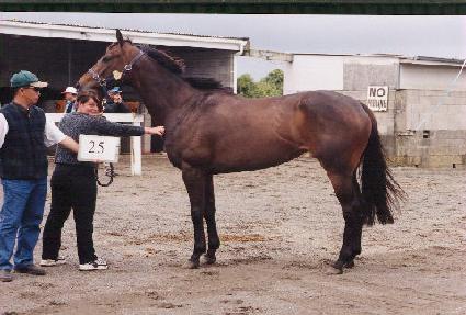 ���̽�Ǯ ����