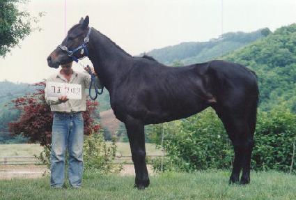 Ŀ�ǿ����� ����