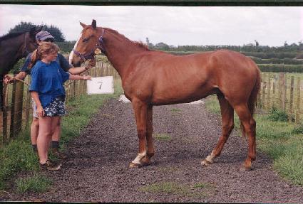 ���� ����