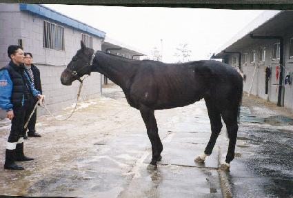 ���̺������̺� ����