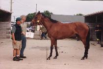 ��ī�� (SAE CARD) ����