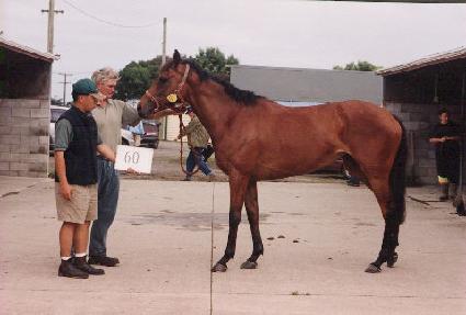 ��ī�� ����