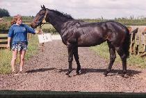 �ﱺ�� (SAMGUNBU) ����