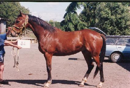 ����ѳ� ����