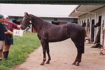 �ż��� ����