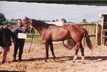 �踮�� (BARRY SEAL) ����