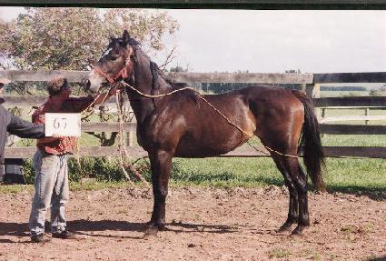 ȭ������ ����